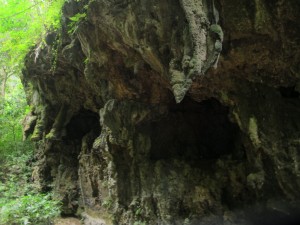 gajah-elepant-cave